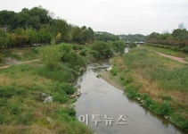 [특집] 하천 스스로 살아나도록 힘을 보태죠