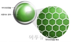 도심에서 언제나 산림욕을