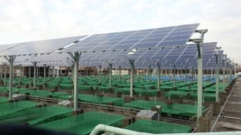 한화큐셀코리아, 3MW 태양광발전 가동