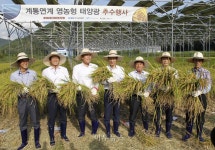 남동발전 태양광 아래 쌀농사 수확 성공적