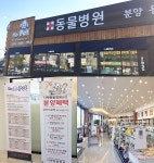 전주 더펫, 차별화된 전문 케어 시스템으로 다양한 혜택 제공