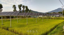 한수원, 가평 농가참여형 태양광발전소서 첫 수확