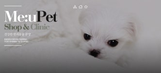 울산강아지분양 미유펫애견샵, 5월 가정의달 맞이 최대 70% 할인이벤트 진행