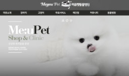 창원 강아지·고양이 분양전문 미유펫 애견샵 70% 할인 이벤트 진행