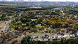 드림파크 나들이에 33만여명 몰려 가을 만끽