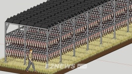 인제 황태덕장, 태양광 발전시설로 활용