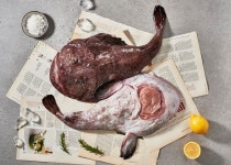 싱싱한 바다가 내 식탁으로…수산물 온라인 도매몰 서울바다 오픈