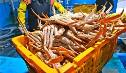 헬로크랩 본사, 가맹점들 본격적인 지원 밝혀