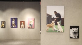테이크호텔x도그어스플래닛, 유기견 사진전 개최