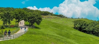 대관령양떼목장, 어린이날 방문 어린이 위해 다양한 행사 진행