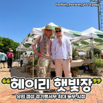 파주 헤이리의 로컬푸드마켓 햇빛장...지역 로컬크리에이터(레고양파주)가 도와