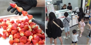 황제탕후루, 렌탈자금·창업특별할인 혜택 제공