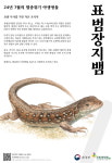 7월의 멸종위기 야생생물로 표범장지뱀 선정