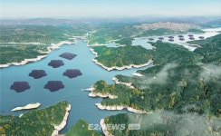 신성이엔지, 임하댐에 수상태양광 모듈 공급