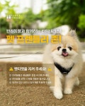 타임테라스, 반려동물 동반 쇼핑 허용…펫 프렌들리 서비스 도입