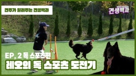 견주가 알려주는 견생백과 브이로그, 반려인들 사이에서 큰 공감 얻어