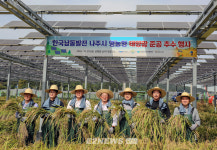 남동발전, 나주 남석 영농형 태양광발전소 아래 벼 추수