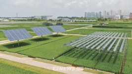 수도권에 1MW 영농형태양광 2개소 시범 조성