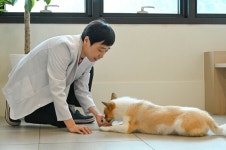 반려동물 행동진료, 왜 필요할까…전문가가 말하는 조기 개입의 중요성