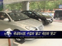 국내차시장, 수입차 울고 국산차 웃고