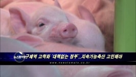 ③ 구제역 고착화 `대책없는 정부`..지속가능축산 고민해야