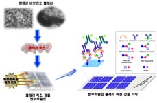 여름철 대표 전염병 콜레라 진단 新기술 개발