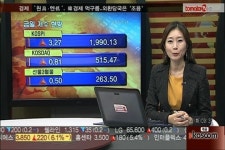 (투자전략)탄력적인 상승은 제한적 전망