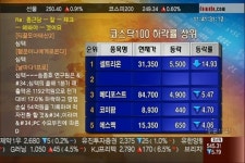 (KOSDAQ 100 DOWN)심텍