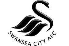 (EPL)스완지시티, 기성용 포지션에 네덜란드 득점왕 영입