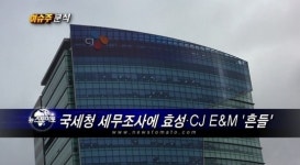 (이슈주분석)국세청 세무조사에 효성·CJ E&M 흔들
