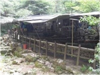 서울시, 휴가철 노린 그린벨트 불법 영업점 적발