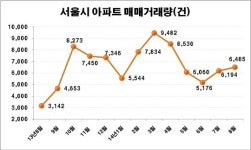 9.1대책 발표로 대치 은마, 하루만에 2천만원 껑충