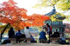 서울시, 경북궁 서측 일대 개발 일부 제한