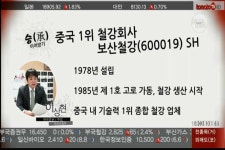 (헬로우 차이나)보산철강(600019)