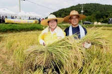 2015년산 공공비축미곡 40kg당 5만2270원 확정