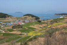 (이강의 테마여행)느림 속으로 떠나는 봄여행, 청산도