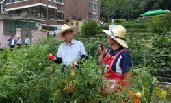 서울 달동네 ‘산새마을’···주민이 직접 꾸미는 공동체 마을로 변신