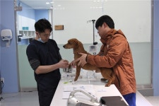 유기견과 봄볕처럼 따뜻한 마음 나눠요