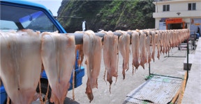 ‘오징어’=‘낙지’…같은 듯 다른 남한말, 북한말