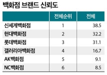 유통 강자 신세계, 백화점·대형마트 ‘석권’