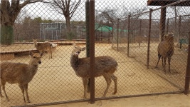 (단독)전염병 한창인데…인천시, 어린이동물원 방치