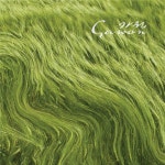 가원(Gawon)의 데뷔 싱글…산울림 김창훈 참여