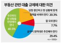 (대한민국 재벌 신뢰지수) 문재인 정부의 부동산 대출 규제, 지속 추진이 옳아