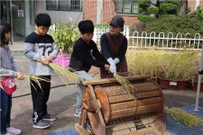학교에서 벼농사하고 목화 키우며 ‘살아있는 환경교육’