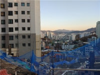 사당롯데캐슬, 신호등 두고 골머리…안전 위해 설치vs안전 위해 불가