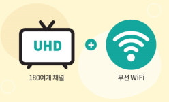 [IB토마토](Today 공시)현대에이치씨엔, 1분기 영업익 전년비 8.6% 감소