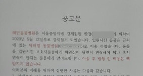 혜민동물병원, 입원 동물 서초 닥터멍 동물병원으로 이송