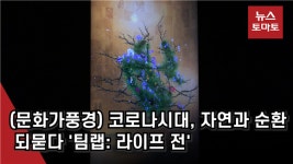 (문화가풍경)코로나 시대, 자연과 순환 되묻다 팀랩: 라이프 전