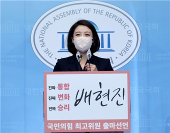배현진, 최고위원 출마 