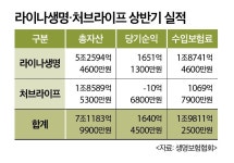 (영상)라이나+처브 합작 보험사? 시너지 글쎄